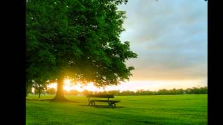 Agent-X - In the Morning