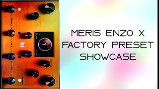 Video thumbnail for Meris Enzo X - Factory Preset Showcase by Tri Pedal Reviews