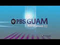 WNET New York KGTF Guam IDs 2018