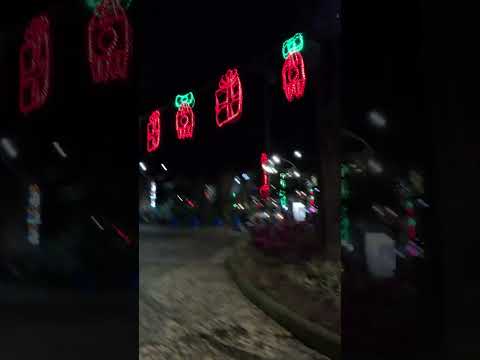 Medellín, Laureles #colombia #medellinantioquia #medellin #laureles #medellín #shorts #nightlife