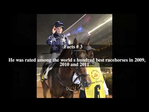 Presvis Top # 7 Facts