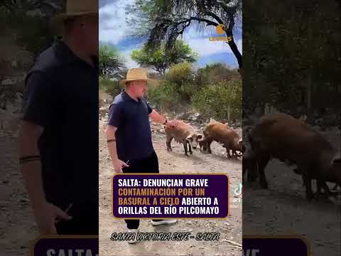 🚨 ¡La ausencia del oficialismo Salteño!