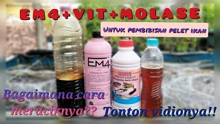 Download lagu Racikan pemicu nafsu makan ikan nila bioflok || Bibis Pelet Ikan Nila. mp3