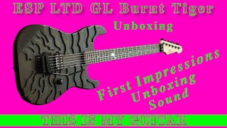 Video thumbnail for This is my guitar - ESP LTD George Lynch GL Burnt Tiger Unbox and first impression.Gift from my wife by Blondie's Pink Noize
