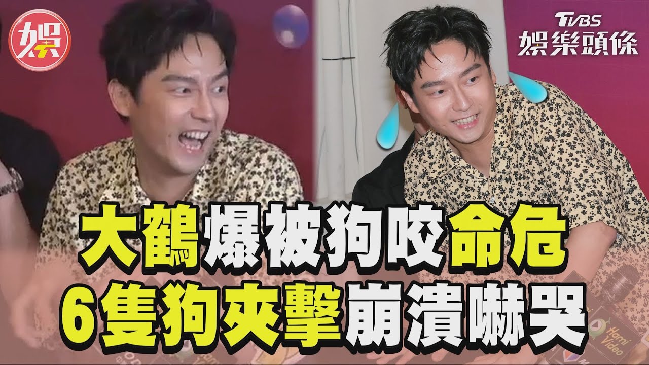 影音／大鶴驚爆被狗咬住院命危　「6隻狗夾擊」崩潰嚇哭！