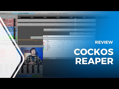 Cockos Reaper Review - Most Detailed Version