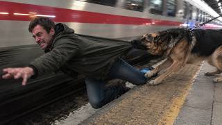 Hero Animals That Saved Human Lives!