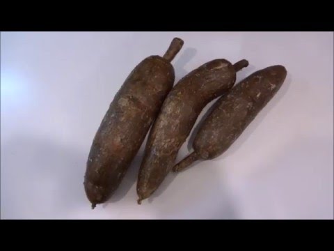 download lagu mp3 mp4 Cassava Flour Canada, download lagu Cassava Flour Canada gratis, unduh video klip Cassava Flour Canada