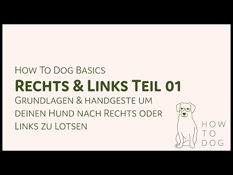 Deinem Hund Links und Rechts beibringen ↔️🐕 Teil 01: Aufbau und Sichtzeichen