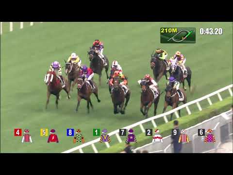 17/4/2021 (595) Carroll Street - Vincent Ho