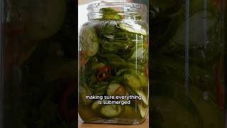 Download lagu I hate sweet pickles mp3 Download lagu I hate sweet pickles mp3