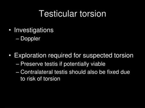 testicular disease