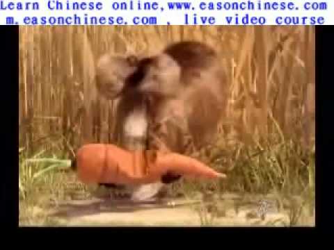 1325poor groundhog ~  funny 20127463913