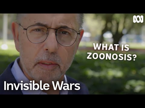 This is how a virus jumps from animal to human | Invisible Wars