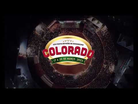 Touro Imigrante - Cia Máfia do Boi