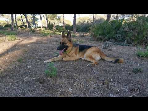 Presentación con Neyla