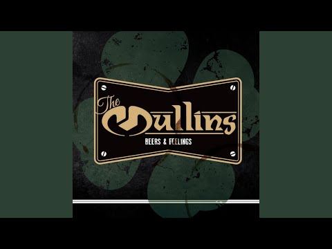 The Irish Rover (Cover)