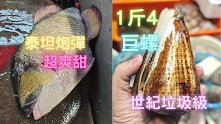 第一次見超巨型1斤4粒巨螺😯一試一世難忘:伏,3斤泰坦炮彈,1魚2味,呢件就好食~fishcutting香港海鮮~社長遊街市Seafood