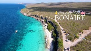 BONAIRE Travel Vlog in 4K + Drone (English Version)
