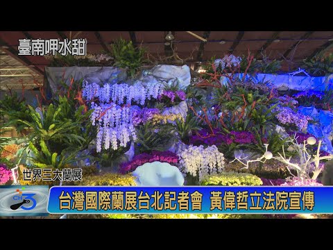 台灣國際蘭展 奇幻森林到夢幻城堡 體驗蘭海奇蹟