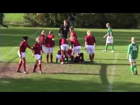 AMVJ VR1 (zat) - Roda '23 (zat)