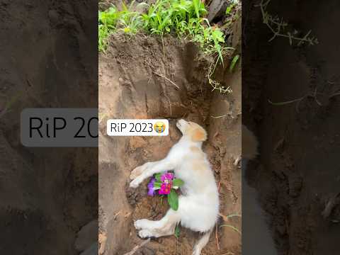 Mary on a Cross #love #rip #dogs