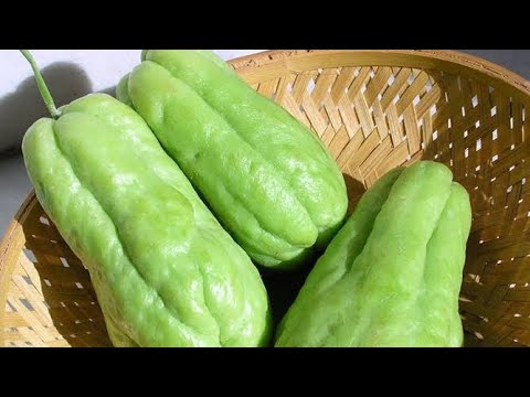 Quas vegetable recipe(Chayote chow chow)new simple recipe