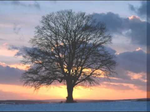 A fekete madár - Tátrai Band