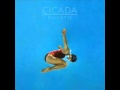 Cicada-Talking