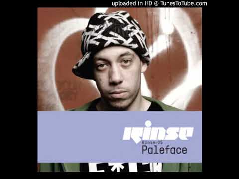 DJ Paleface feat. Mr. V - Hypnotiq