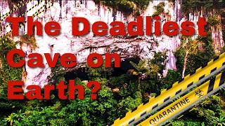 The Most Dangerous Cave on Earth: The Origin of Ebola