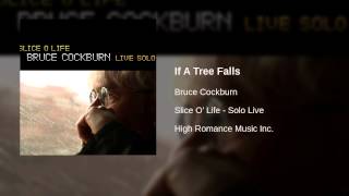 Bruce Cockburn - If A Tree Falls