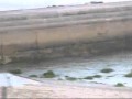 Future Loop Foundation - the sea and Sky - Breathe.wmv