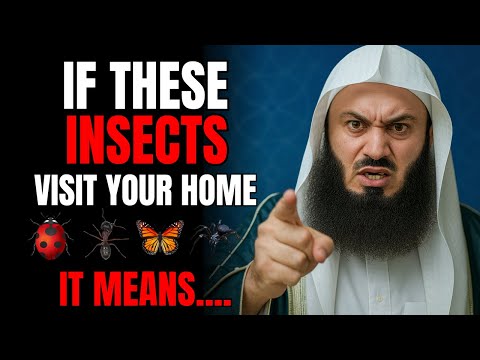 When Insects Visit Your House, Don't Ignore These 6 Warnings from Allah | Mufti Menk
