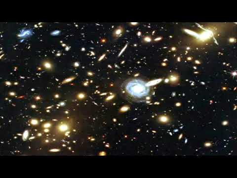 792  Warp Kidz Mistral