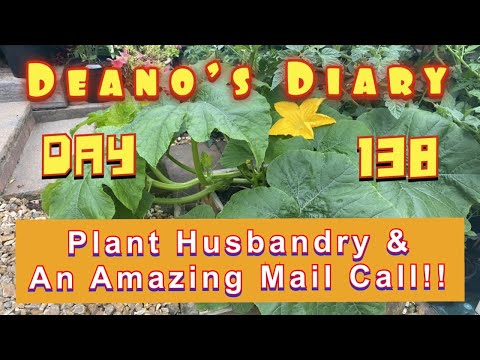 Deano’s Diary Day 138 - Plant Husbandry and An Amazing Mail Vall