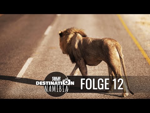 Destination Namibia 🐆 12 - Animals galore in Etosha! 📷 Travel photography documentary - Krolop&Gerst