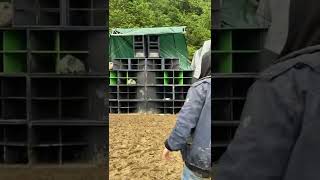 Uk tek 2022 ( Delerium Sounds - LockDown Events, Green Machine, Omni-Audio Insomniac liken up)