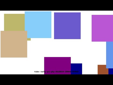 Video #sftp-gcs-pkg-20220629-180041-047682