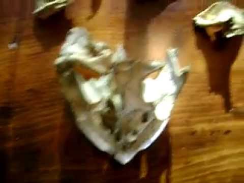 Snapping Turtle, Skull Damage and Reconstruction, No Veterinarian Necessary Part 1.