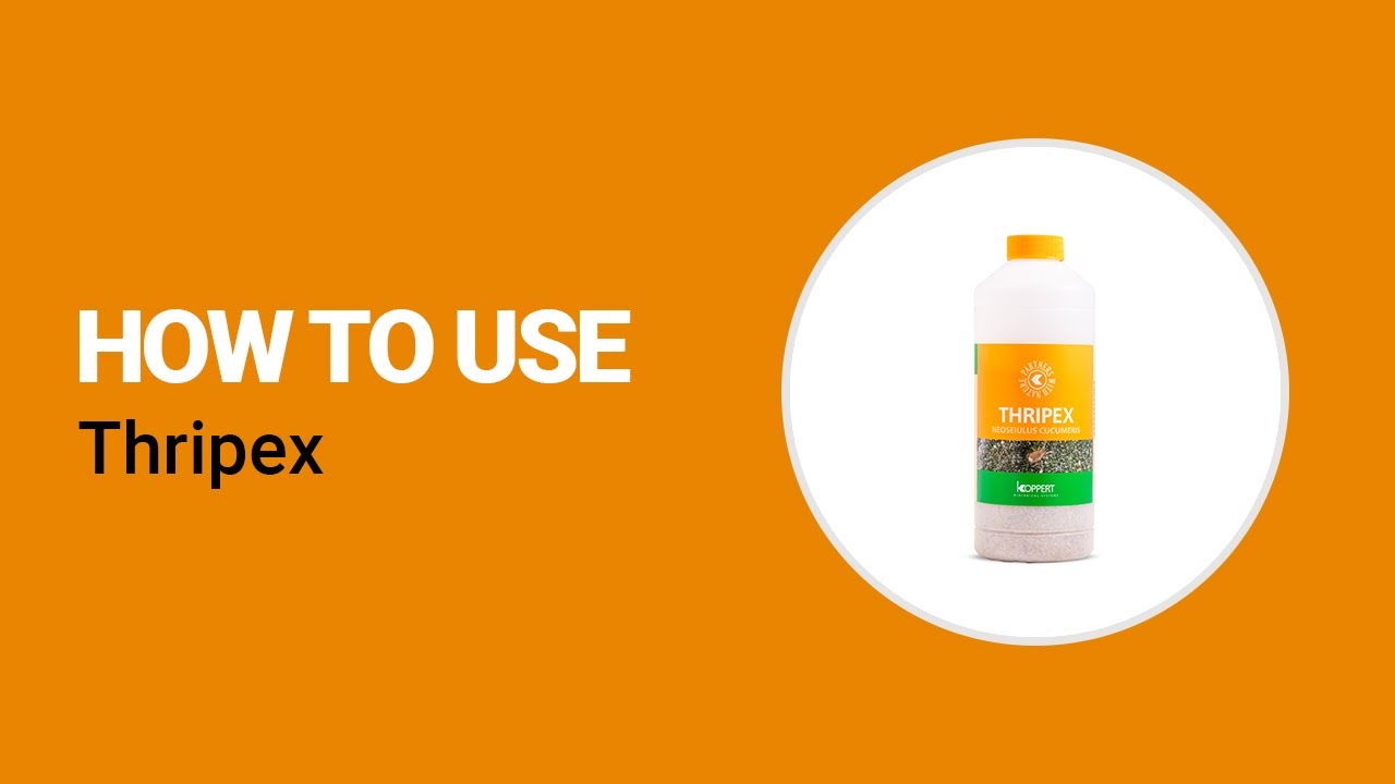 Video preview poster