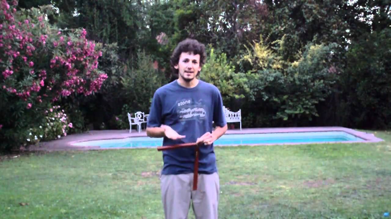 Inverse Dolphin Aerial