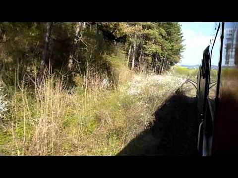 Calatorie cu P3644 pe ruta Balnaca - Bratca & Manevra LDE GM (17 04 2011)