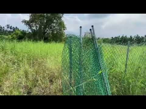 Yepi-Wanyan Jiasa local de beleza cênica na montanha de 2,76 minutos