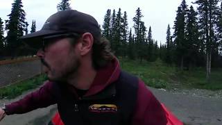 preview picture of video 'Husky Homestead in Denali Alaska'