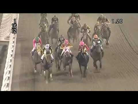 2018.06.06 Tokyo Derby (JPN) - Haseno Pyro