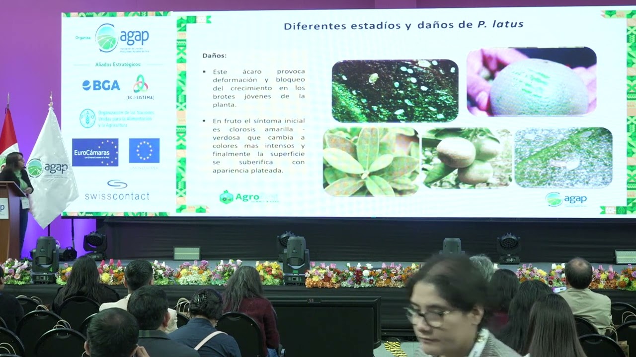 Presentación estrategias de control de ácaros fitófagos   Sofia Jiménez