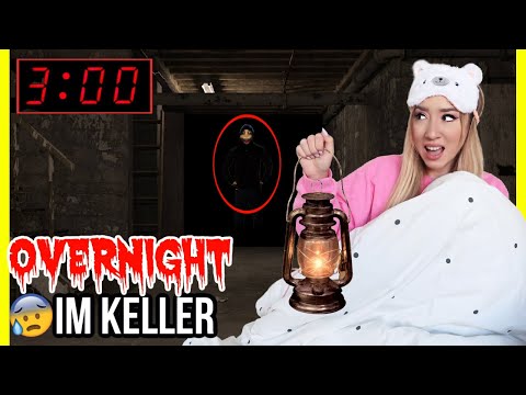 mache niemals im gruseligen KELLER vom HAUS eine OVERNIGHT CHALLENGE  (ES schreit & tritt gegen TÜR)