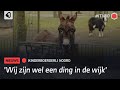 Wonen tussen de dieren van de kinderboerderij? In Enschede kan het!