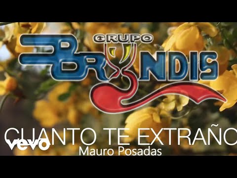 Cuanto Te Extraño - Bryndis